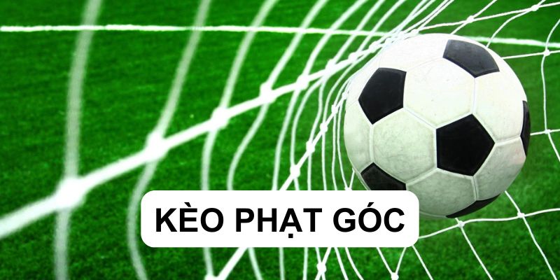 Kèo Phạt Góc 33win Và cách Chơi Chuẩn Xác Nhất Dành Cho Người Mới 1 Kèo phạt góc