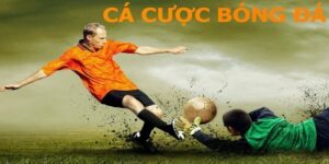 Hướng dẫn cá cược bóng đá online