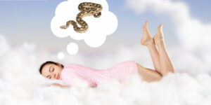 mơ thấy rắn là điềm gì